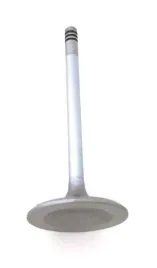 zawor-wydechowy-420254682