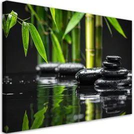 obraz-do-salonu-sypialni-kuchni-biura-czarne-kamienie-woda-bambus-zen-spa