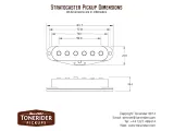 tonerider-classic-blues-strat-wh-bridge-stan-nowy