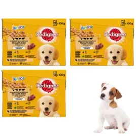 pedigree-karma-mokra-dla-psa-saszetki-box-12x100g-junior-puppy