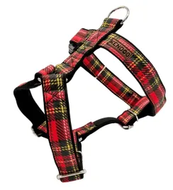 kendog-szkocka-krata-szelki-guard-s-2cm-35-50cm