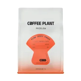 coffee-plant-flow-juicy-fruit-filter-250g