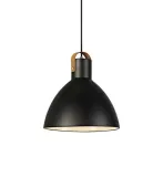 lampa-wiszaca-eagle-106552-markslojd