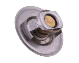 termostat-83913835-ford-polmo