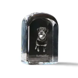 rottweiler-krysztalowa-kostka-ze-zdjeciem-zdjecie-psa-w-krysztale-szesc