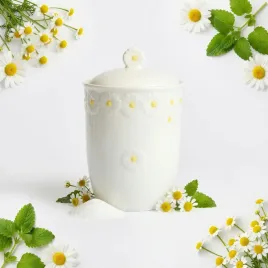 pojemnik-organizer-na-zywnosc-artykuly-sypkie-ceramiczny-16cm-daisy-line