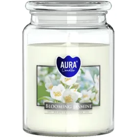 duza-swieca-zapachowa-w-sloiku-bispol-100h-kwitnacy-jasmin