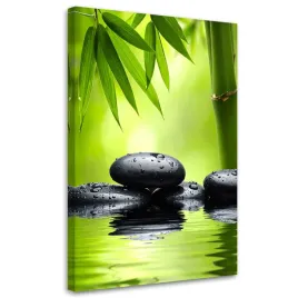 obraz-do-salonu-sypialni-kuchni-biura-czarne-kamienie-rosliny-zen-spa