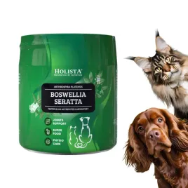 holista-boswellia-seratta-100g