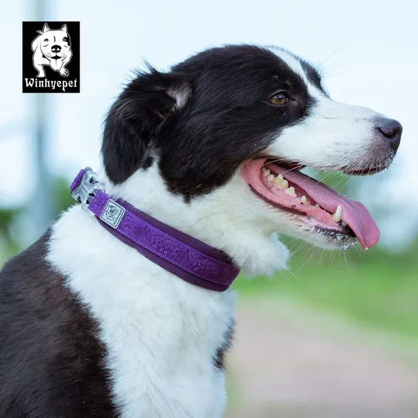 obroza-dla-psa-winhyepet-classic-rozmiar-xl