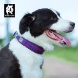 obroza-dla-psa-winhyepet-classic-rozmiar-xl