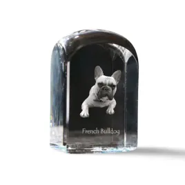 buldog-francuski-krysztalowa-kostka-ze-zdjeciem-zdjecie-psa-w-krysztale