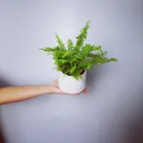 oslonka-ceramiczna-flower-biala