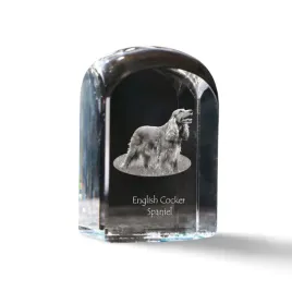 cocker-spaniel-angielski-krysztalowa-kostka-ze-zdjeciem-zdjecie-psa-w-kr