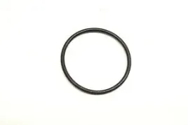 o-ring-293300114