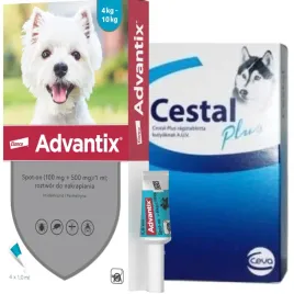 advantix-dla-psow-4-10kg-4-pipety-x-1ml-cestal-dog-plus-tabletki-na-odr