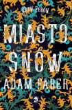 miasto-snow