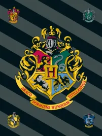 harry-potter-hogward-koc-kocyk-pled-narzuta-dzieci