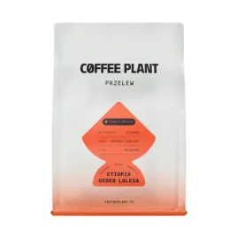 coffee-plant-kawa-ziarnista-etiopia-gedeb-lalesa-natural-filter-250-g