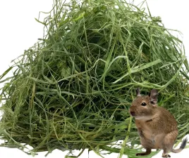 sianko-siano-dla-niejadkow-wybrednych-2-kg-dla-koszatniczki-degu-domowej