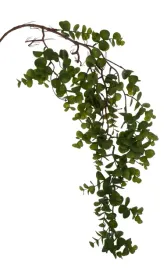 eukaliptus-zielony-zwis-pnacze-93-cm-kwiaty-sztuczne-premium