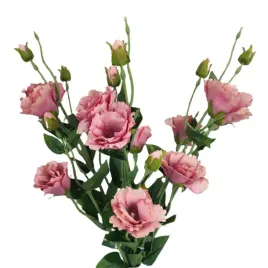 eustoma-rozowa-sztuczna-premium-bukiet-3-x-galazka-82-cm
