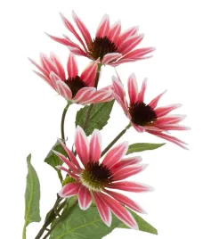 jezowka-czerwona-echinacea-72-cm-duze-kwiaty-o-13-cm-real-touch-rudbekia