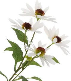 jezowka-biala-echinacea-aster-72-cm-duze-kwiaty-o-13-cm-real-touch-rudbekia