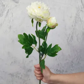 piwonia-peonia-biala-60-cm-galazka-z-liscmi-premium-jak-zywa