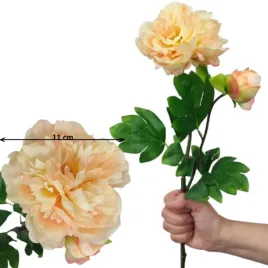 piwonia-peonia-herbaciana-60-cm-galazka-z-liscmi-premium-jak-zywa
