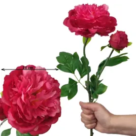 piwonia-peonia-roz-ciemny-amarant-60-cm-galazka-z-liscmi-premium-jak-zywa