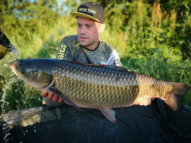 optimal-baits-dumbells-pop-up-morwa-10mm-waga-35-g