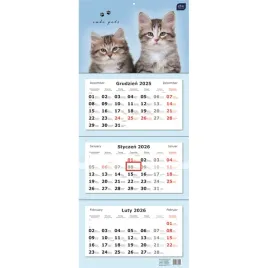 kalendarz-trojdzielny-terminarz-miesieczny-na-2026-rok-825-x-34-cm-koty