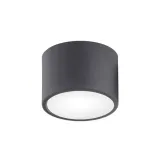 plafon-vichy-3886-argon