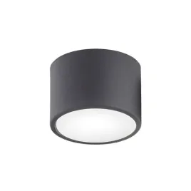 plafon-vichy-3886-argon