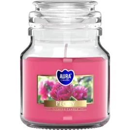 mala-swieca-zapachowa-w-sloiku-bispol-28h-piwonia