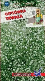 gipsowka-trwala-04g-o