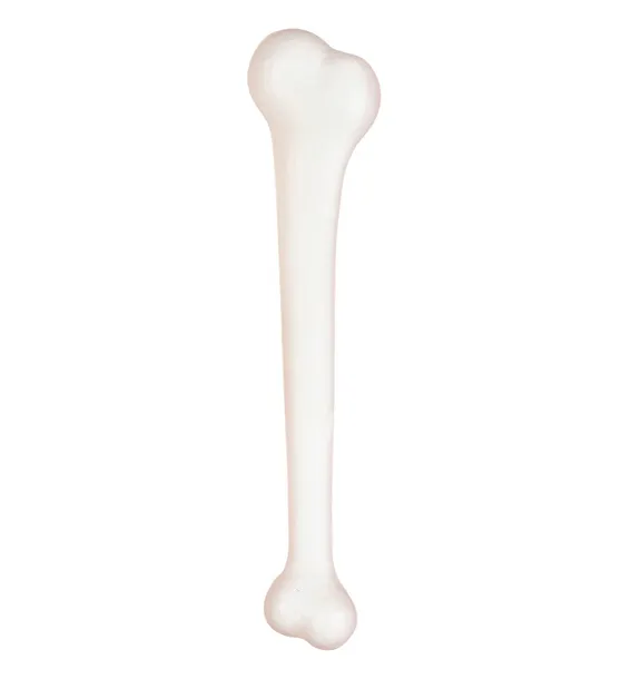 kosc-maczuga-jaskiniowca-palka-flinston-40cm-stan-nowy