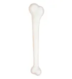kosc-maczuga-jaskiniowca-palka-flinston-40cm-stan-nowy