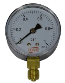 manometr-goshe-1-bar-dolny-63-mm-obudowa-metalowa