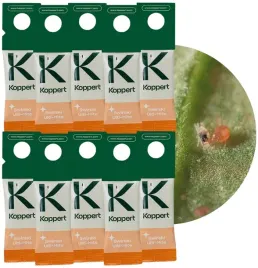 zestaw-dobroczynek-swirski-ulti-mite-vegano-10-szt