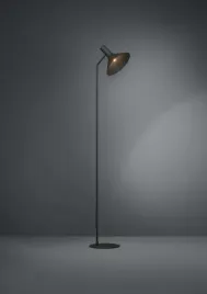 lampa-podlogowa-morescana-czarna-390222-eglo