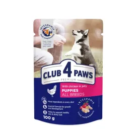 club-4-paws-premium-mokra-karma-dla-szczeniat-z-kurczakiem-w-galarecie-100g