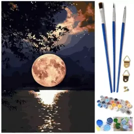 malowanie-po-numerach-40x50-noc-275