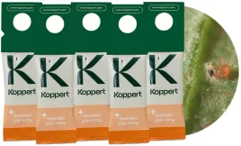 zestaw-dobroczynek-swirski-ulti-mite-vegano-5-szt