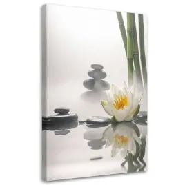 obraz-do-salonu-sypialni-kuchni-biura-kwiat-lotosu-kamienie-rosliny-zen