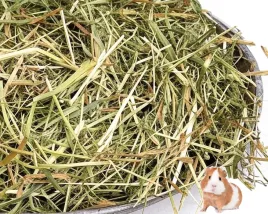 2kg-ekologiczne-siano-sianko-dla-swinek-mo-w-klatce-abisynskich-hodowle
