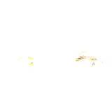 kepki-rzes-v-effect-14mm-ibra-makeup-nowa-formula-marka-ibra-makeup