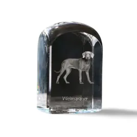 wyzel-weimarski-weimaraner-krysztalowa-kostka-ze-zdjeciem-zdjecie-psa-w