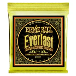 struny-ernie-ball-2558-everlast-bronze-11-52